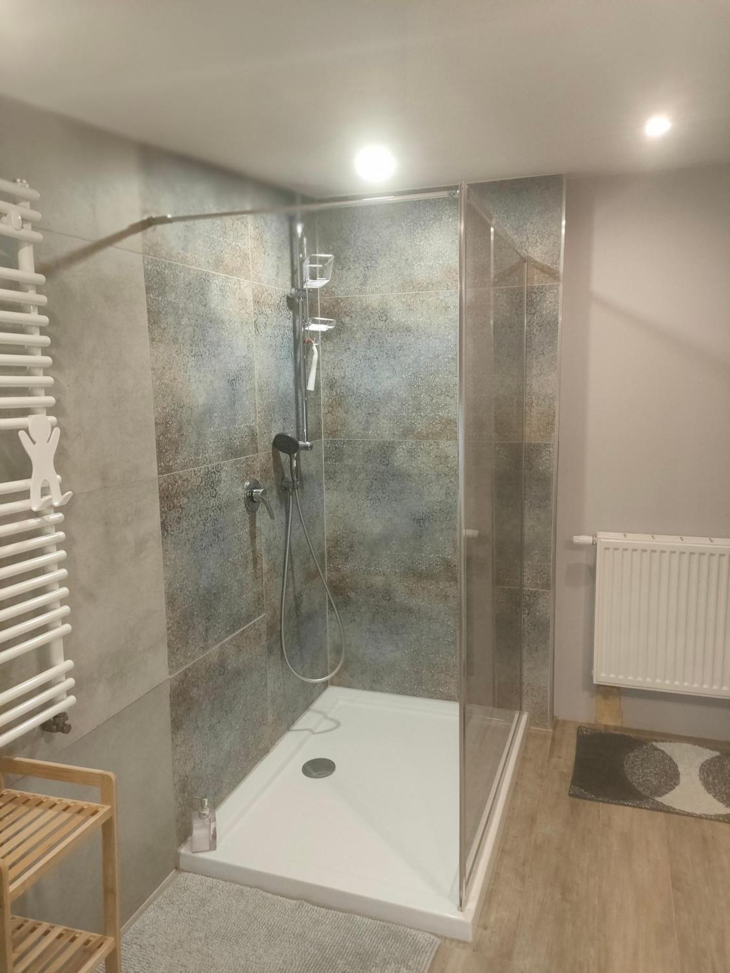 Aparament Brzozowisko Apartment Zelazno  Екстериор снимка